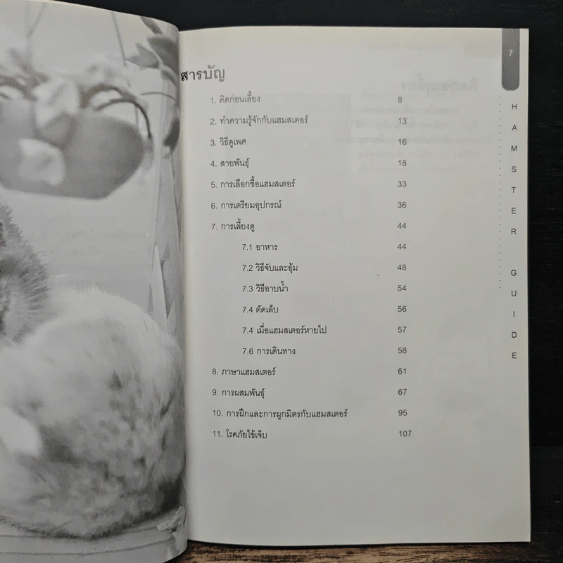 Hamster Guide ฉบับสมบูรณ์ที่สุด รูปที่ 7