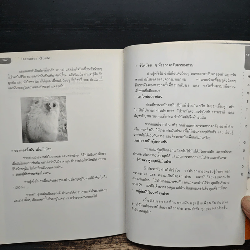 Hamster Guide ฉบับสมบูรณ์ที่สุด รูปที่ 9