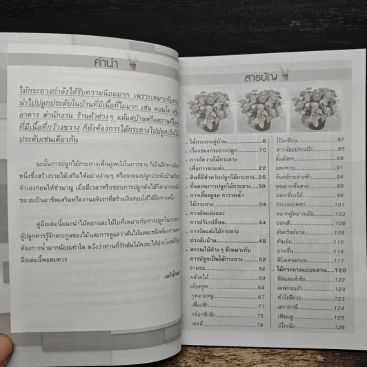 ไม้กระถางประดับบ้าน ปลูกง่าย ขายรวย - แก้วโกกศ รูปที่ 7