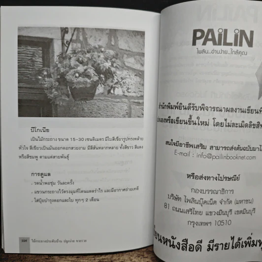 ไม้กระถางประดับบ้าน ปลูกง่าย ขายรวย - แก้วโกกศ รูปที่ 9