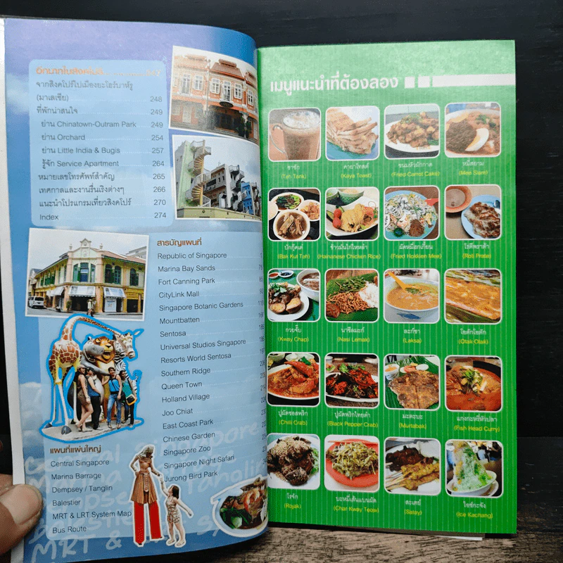 สิงคโปร์ คู่มือเที่ยวตามใจชอบ รูปที่ 9