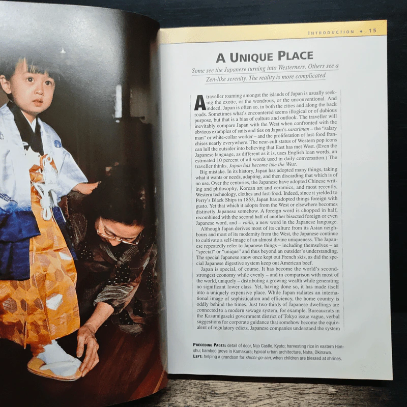 Insight Guides Japan รูปที่ 9