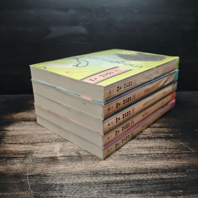 Boxset My Hero วีรบุรุษสุดที่รัก 5 เล่ม - มณีจันท์, หัสบรรณ รูปที่ 8