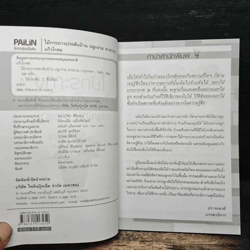 ไม้กระถางประดับบ้าน ปลูกง่าย ขายรวย - แก้วโกกศ รูปที่ 6