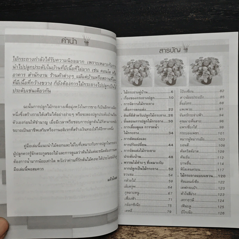 ไม้กระถางประดับบ้าน ปลูกง่าย ขายรวย - แก้วโกกศ รูปที่ 7