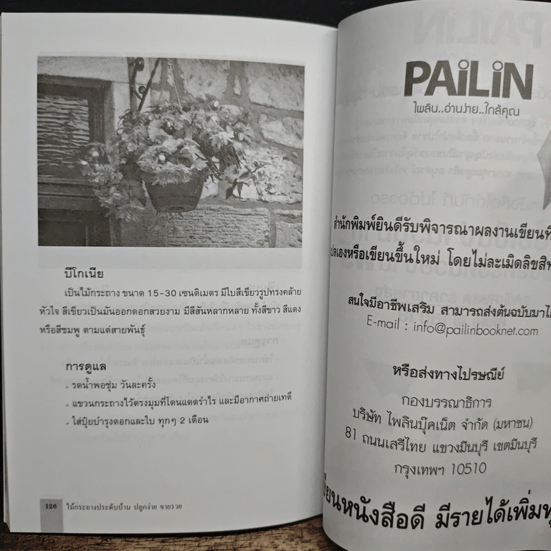 ไม้กระถางประดับบ้าน ปลูกง่าย ขายรวย - แก้วโกกศ รูปที่ 9