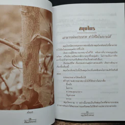 พืชมหัศจรรย์สมุนไพรไกลหมอ - ภาณุทรรศน์ รูปที่ 10