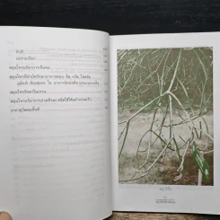 พืชมหัศจรรย์สมุนไพรไกลหมอ - ภาณุทรรศน์ รูปที่ 9