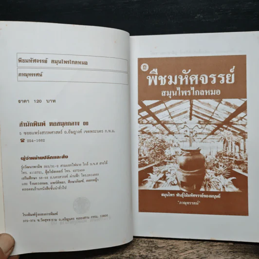 พืชมหัศจรรย์สมุนไพรไกลหมอ - ภาณุทรรศน์ รูปที่ 6