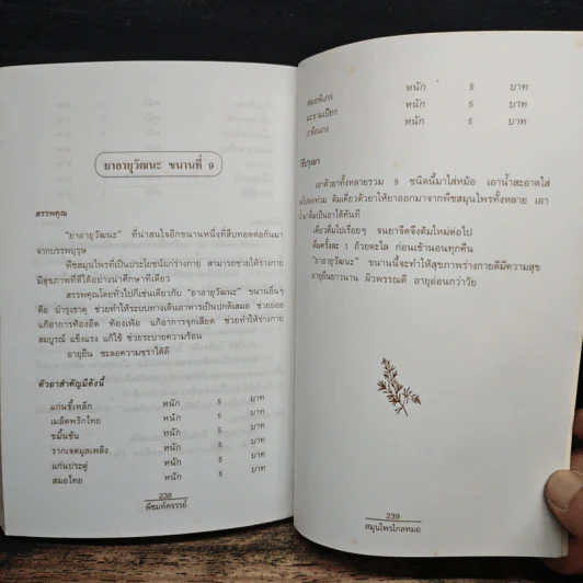 พืชมหัศจรรย์สมุนไพรไกลหมอ - ภาณุทรรศน์ รูปที่ 11
