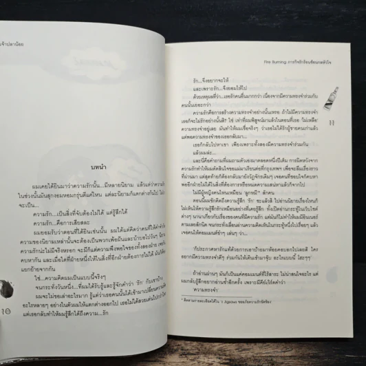 Fire Burning ภารกิจรักร้อนซ่อนกลหัวใจ - เจ้าปลาน้อย รูปที่ 7