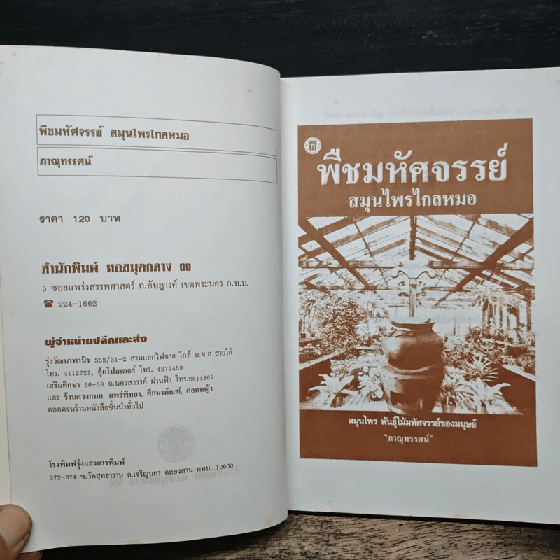 พืชมหัศจรรย์สมุนไพรไกลหมอ - ภาณุทรรศน์ รูปที่ 6