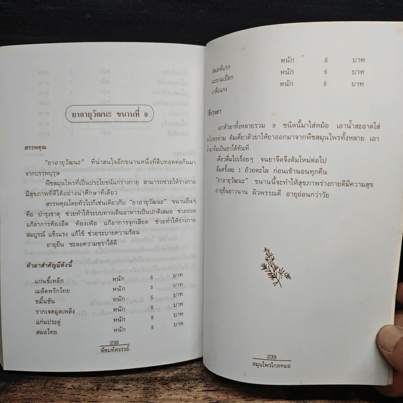 พืชมหัศจรรย์สมุนไพรไกลหมอ - ภาณุทรรศน์ รูปที่ 11