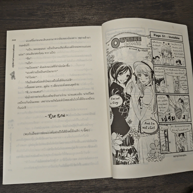 ปฏิบัติการร้าย ของนายตัวแสบ - Swordman แห่ง Iris รูปที่ 8
