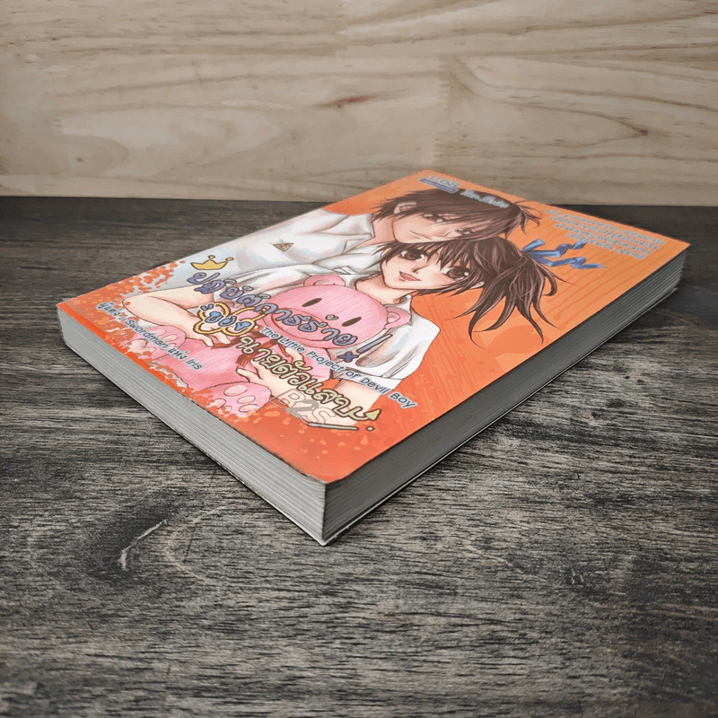 ปฏิบัติการร้าย ของนายตัวแสบ - Swordman แห่ง Iris รูปที่ 3