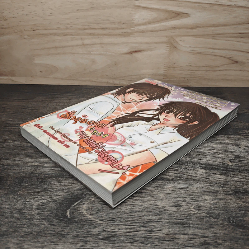 รักวุ่นวายของนายตัวแสบ - Swordman แห่ง Iris รูปที่ 3