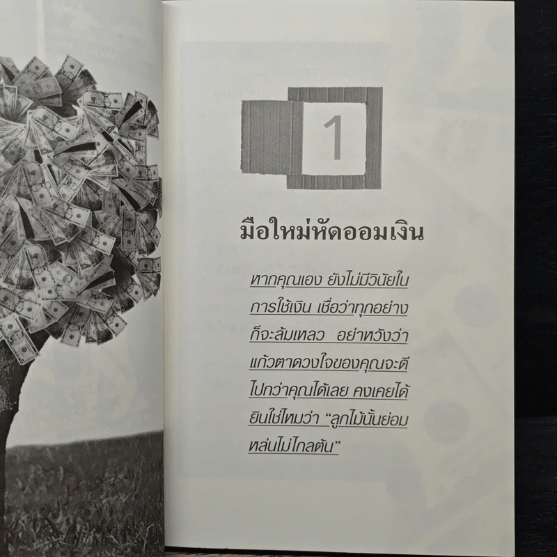 เงินล้านแค่เอื้อม - บุญชัย ใจเย็น รูปที่ 9