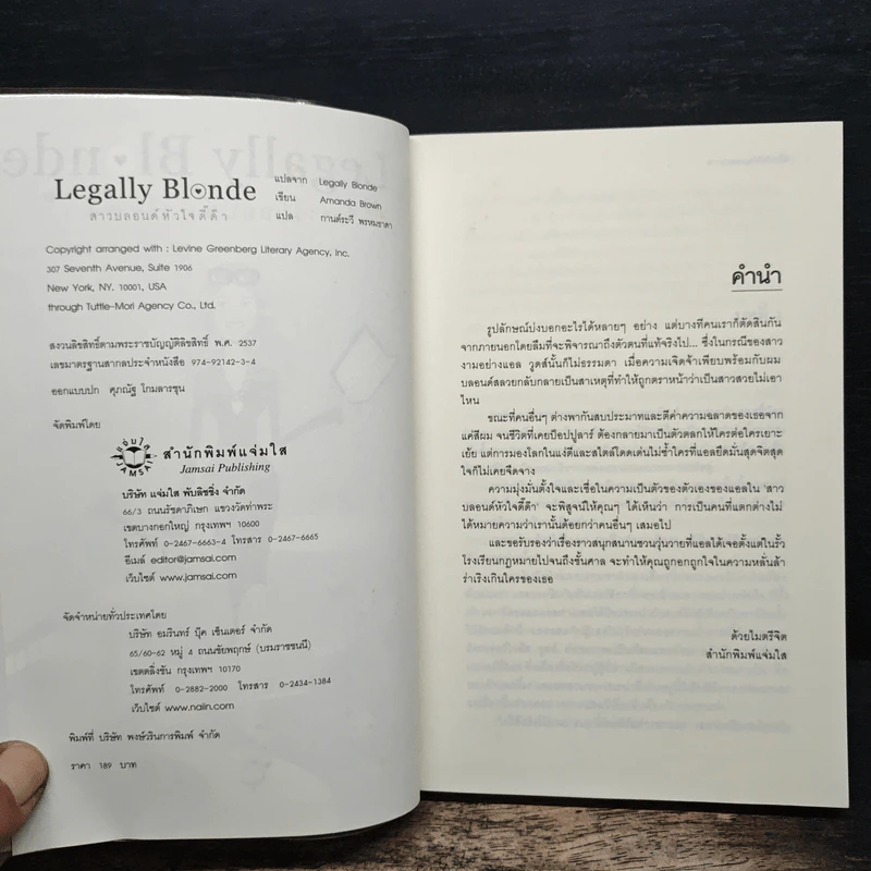 Legally Blonde สาวบลอนด์หัวใจดี๊ด๊า - AMANDA BROWN รูปที่ 6