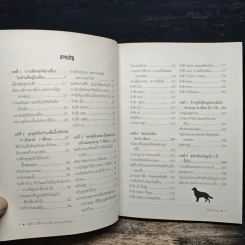 สุนัขในเมือง - ด็อก อิน เดอะ ซิตี้ รูปที่ 7