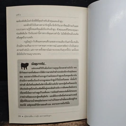 สุนัขในเมือง - ด็อก อิน เดอะ ซิตี้ รูปที่ 9