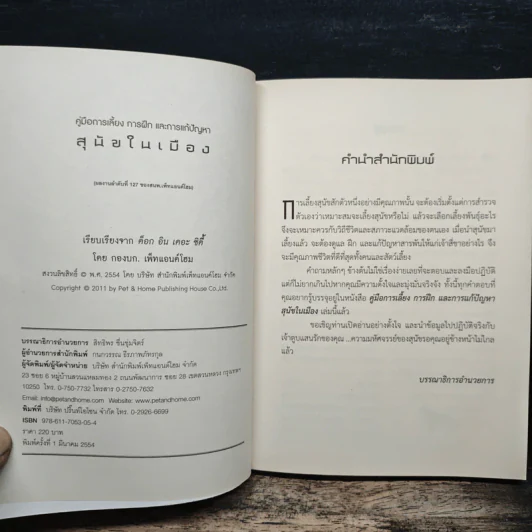 สุนัขในเมือง - ด็อก อิน เดอะ ซิตี้ รูปที่ 6