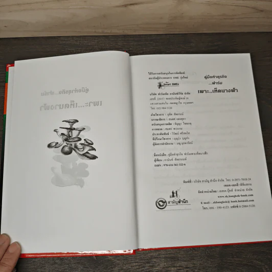 คู่มือธุรกิจ ทําฟาร์มเพาะเห็ดนางฟ้า - ฟาร์มเห็ดชานันท์เวิล รูปที่ 6