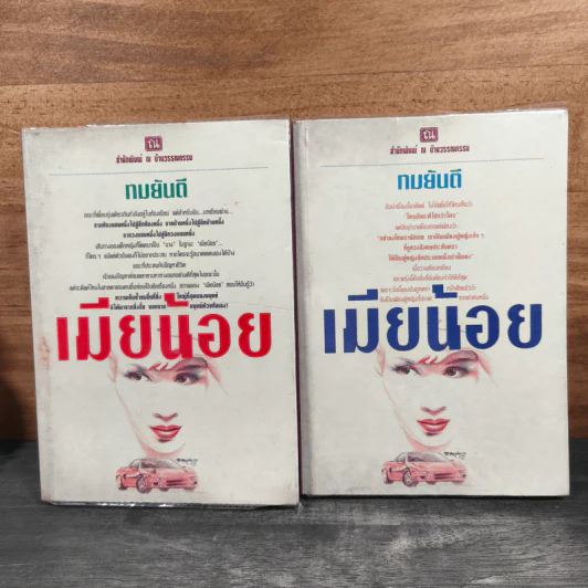 เมียน้อย 2 เล่มจบ - ทมยันตี รูปที่ 1