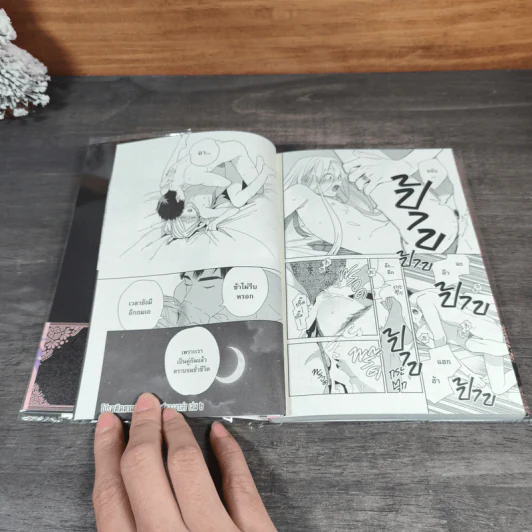 วิวาห์ของลาล่า เล่ม 1 รูปที่ 9