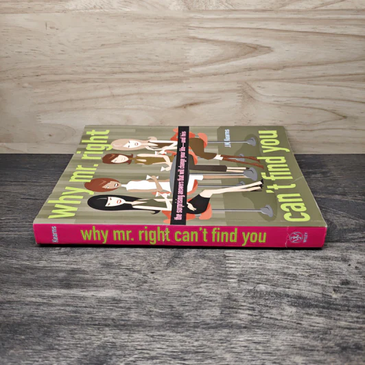 Why Mr. Right Can't Find You - J. M. Kearns รูปที่ 2