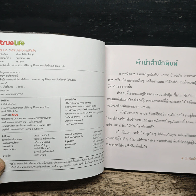 ซิบบิล วาดระบายไปตามฟิลลิ่ง รูปที่ 6