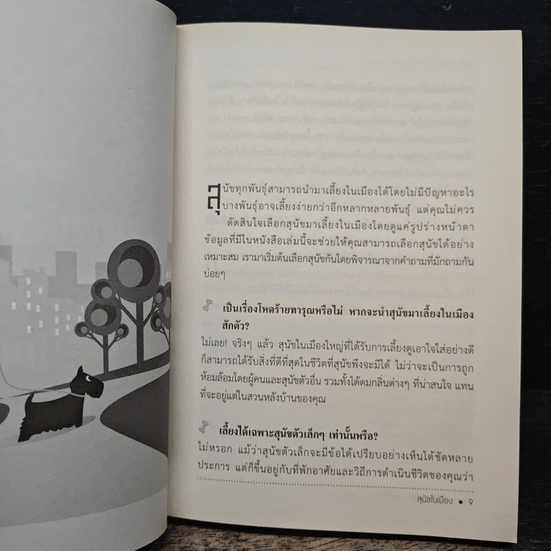 สุนัขในเมือง - ด็อก อิน เดอะ ซิตี้ รูปที่ 8