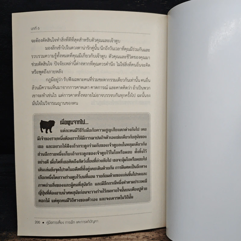 สุนัขในเมือง - ด็อก อิน เดอะ ซิตี้ รูปที่ 9