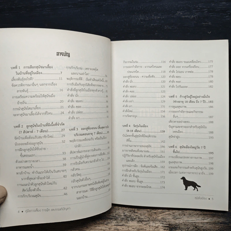 สุนัขในเมือง - ด็อก อิน เดอะ ซิตี้ รูปที่ 7