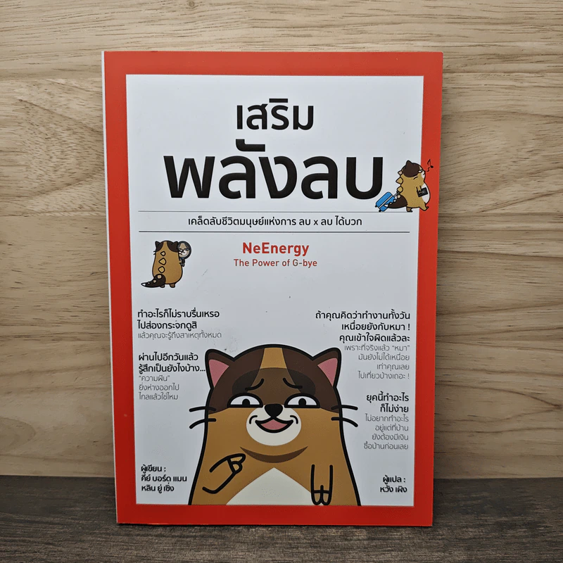 เสริมพลังลบ NeEnergy - หลิน ยู่ เซิ่ง, หวัง เผิง รูปที่ 1