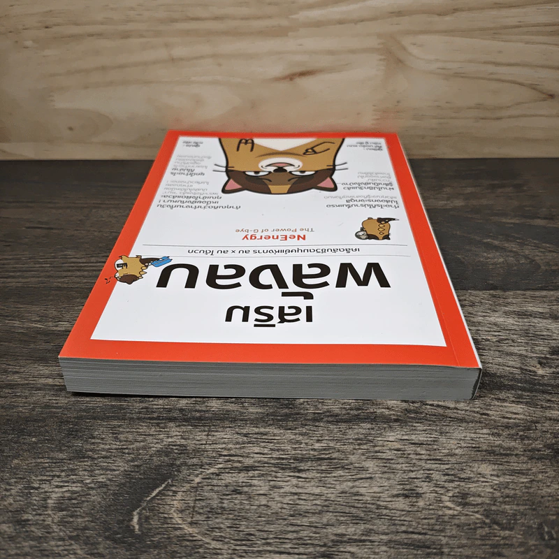 เสริมพลังลบ NeEnergy - หลิน ยู่ เซิ่ง, หวัง เผิง รูปที่ 4