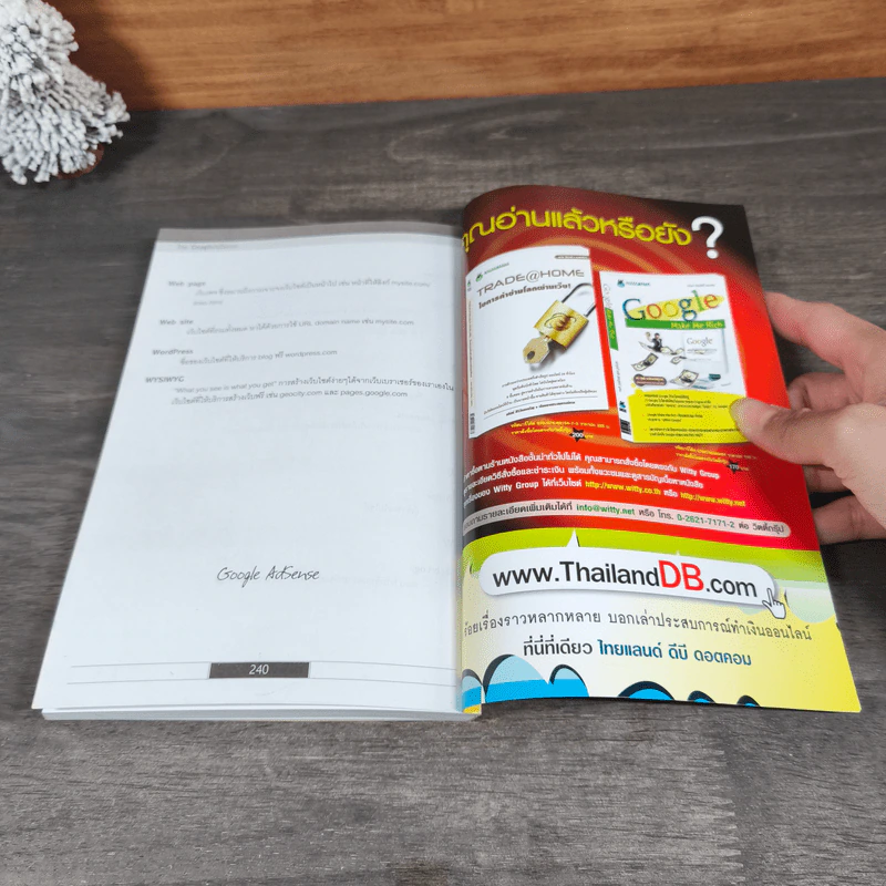 Make Money by Google AdSense เทคนิคลับเพิ่มความรวยด้วยเว็บไซต์ - อนุชา ลีวรกุล รูปที่ 9