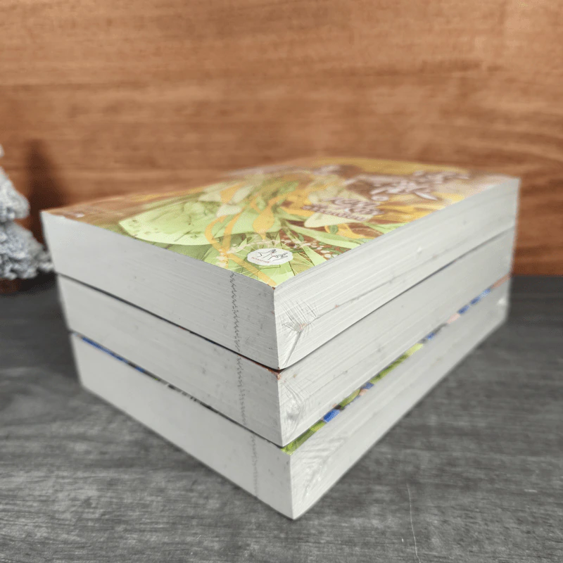 หมอหญิงพลิกธรรมเนียม เล่ม 2-4 - อวี่จิ่วฮวา รูปที่ 3