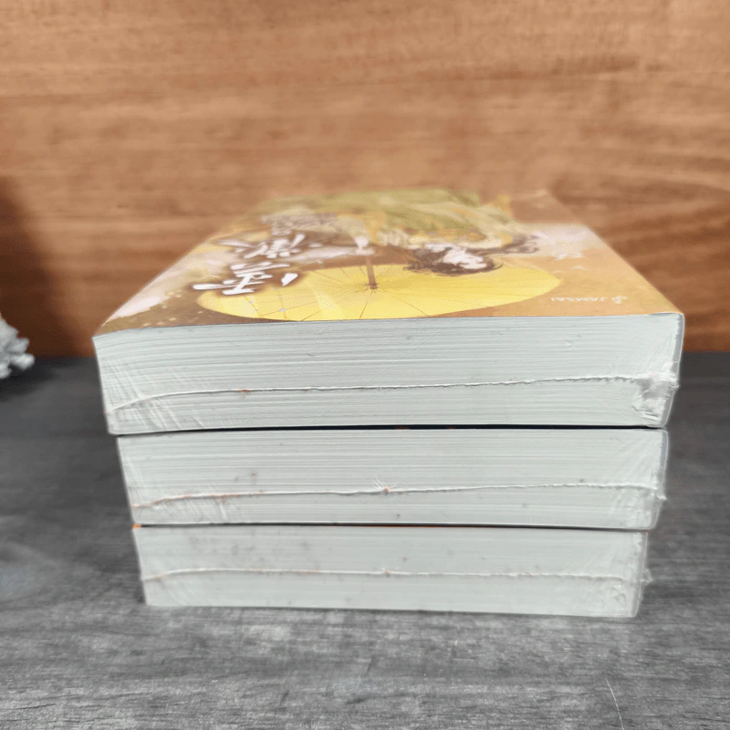 หมอหญิงพลิกธรรมเนียม เล่ม 2-4 - อวี่จิ่วฮวา รูปที่ 4