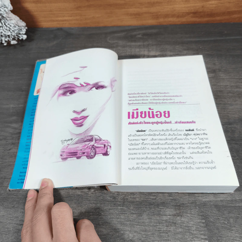 เมียน้อย 2 เล่มจบ - ทมยันตี รูปที่ 8