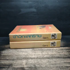 จ้าวทะเลทราย 2 เล่มจบ - นิดา รูปที่ 3