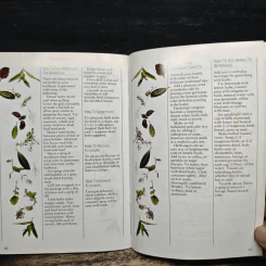Favorite Herbs รูปที่ 8