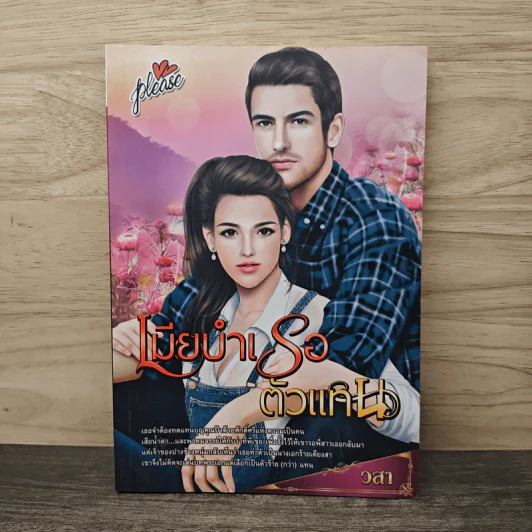 เมียบำเรอตัวแทน - วสา รูปที่ 1