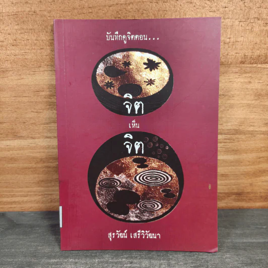 บันทึกดูจิต ตอน จิตเห็นจิต - สุรวัฒน์ เสรีวิวัฒนา รูปที่ 1