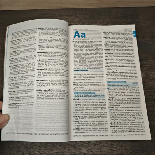 Cambridge Learner's Dictionary รูปที่ 8