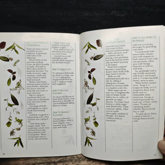 Favorite Herbs รูปที่ 8