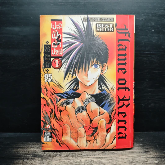 เปลวฟ้าผ่าปฐพี เล่ม 1 รูปที่ 1
