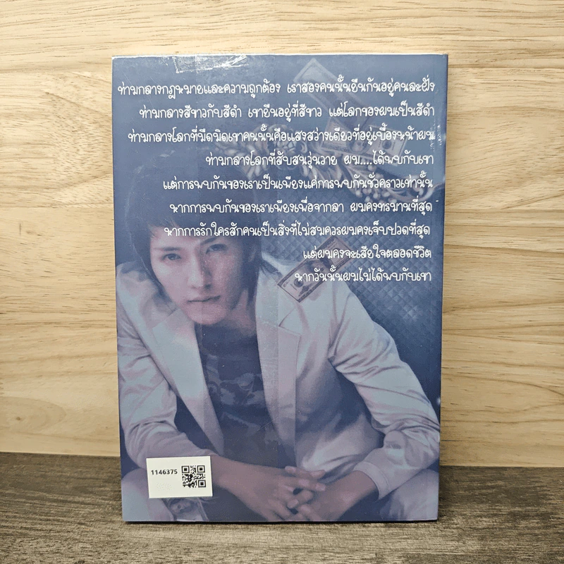 Gigolo 2 ผู้ชายชั่วคราว รูปที่ 5
