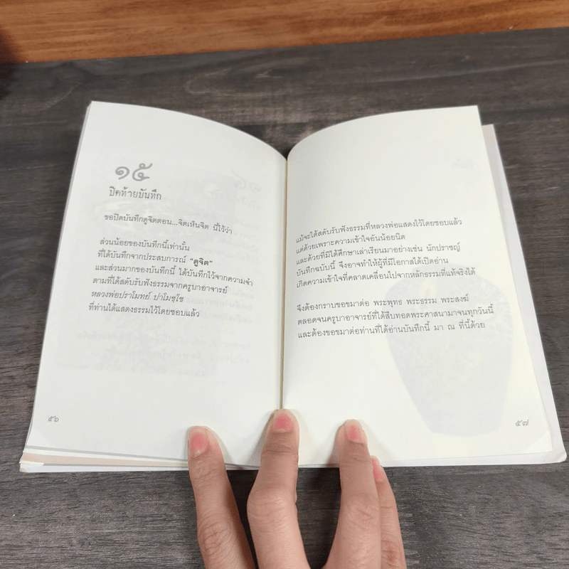 บันทึกดูจิต ตอน จิตเห็นจิต - สุรวัฒน์ เสรีวิวัฒนา รูปที่ 9