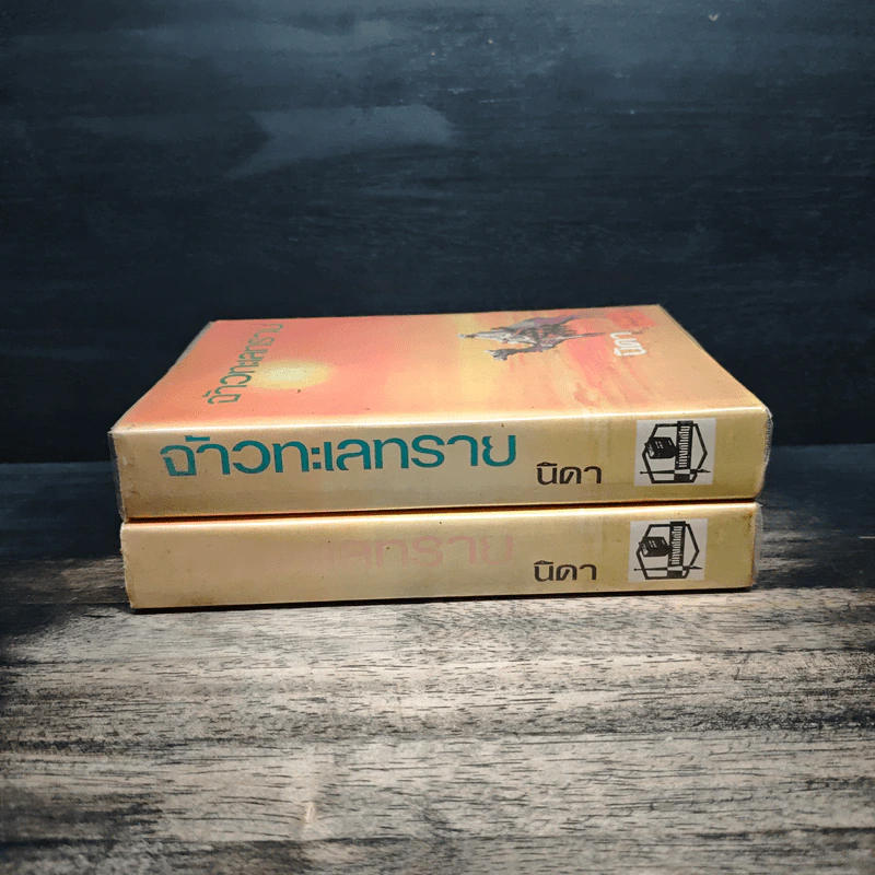 จ้าวทะเลทราย 2 เล่มจบ - นิดา รูปที่ 3