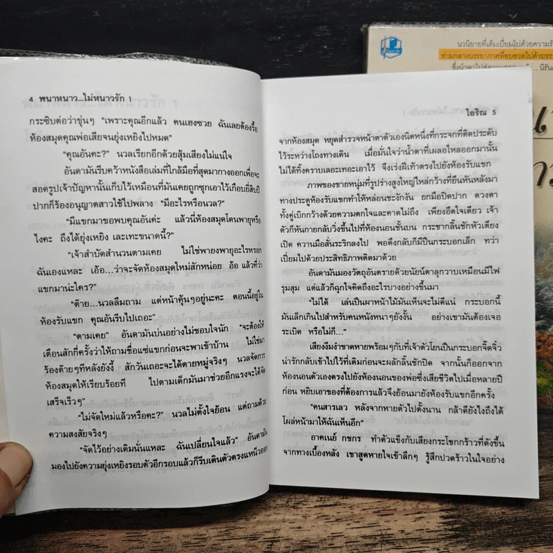 พนาหนาว...ไม่หนาวรัก 2 เล่มจบ - ไอริณ รูปที่ 7